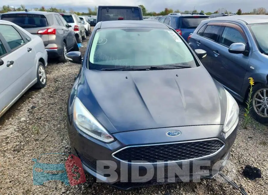 1FADP3F22HL280334 Photo# 5