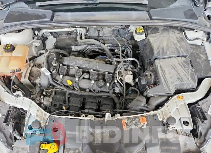 1FADP3N21JL249695 Photo# 11