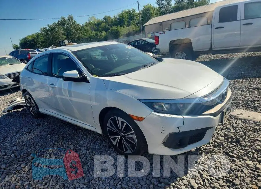19XFC1F80HE027447 Photo# 4