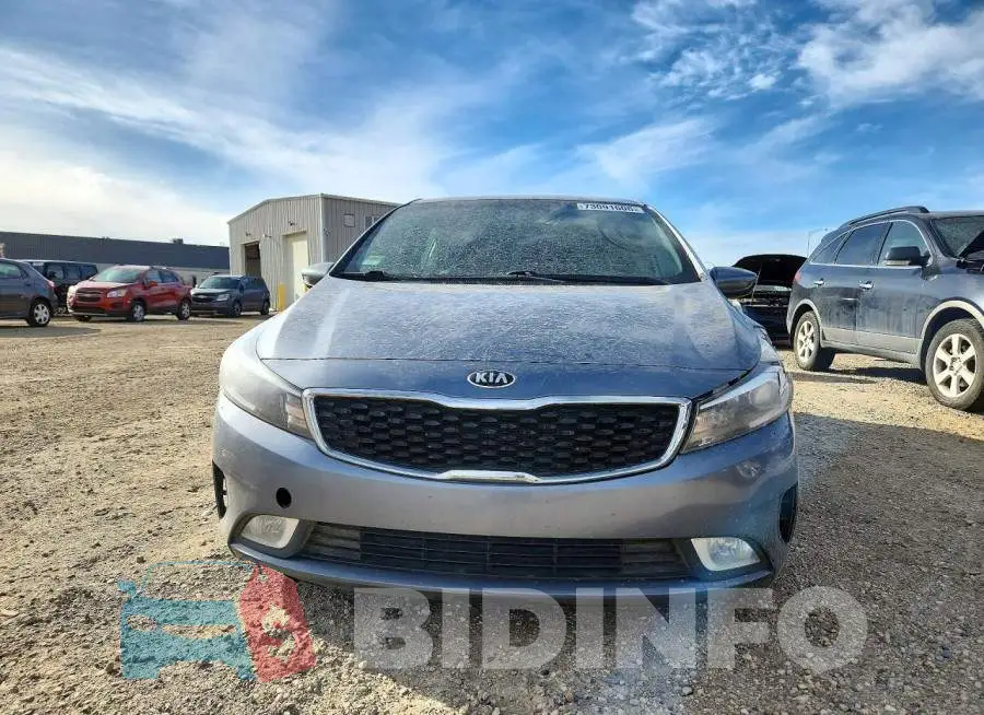 3KPFL4A79HE145156 Photo# 5