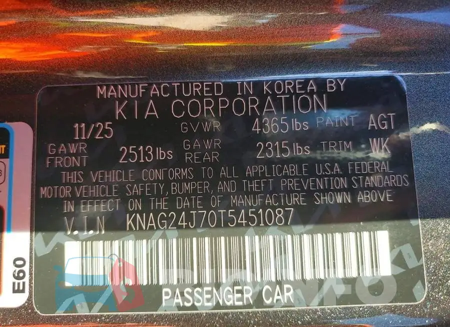 KNAG24J70T5451087 Photo# 12