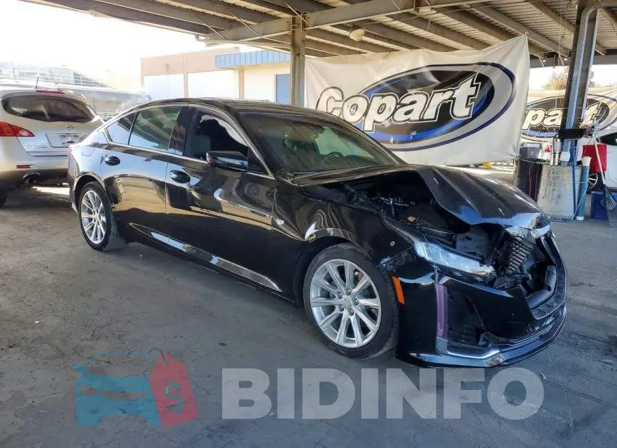 1G6DW5RK6N0111440 Photo# 4