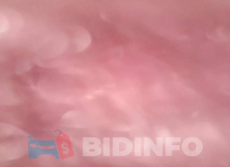1GYS3BKJ2LR133967 Photo# 12