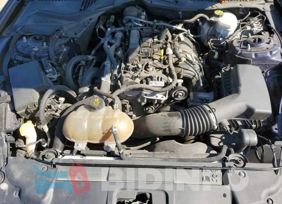 1FA6P8TH1K5120181 Photo# 11