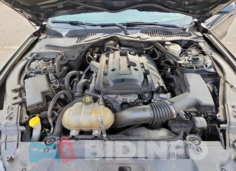 1FATP8UH4K5182000 Photo# 11