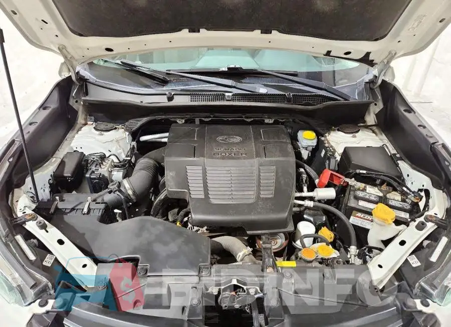 JF2SKAAC7NH503858 Photo# 12