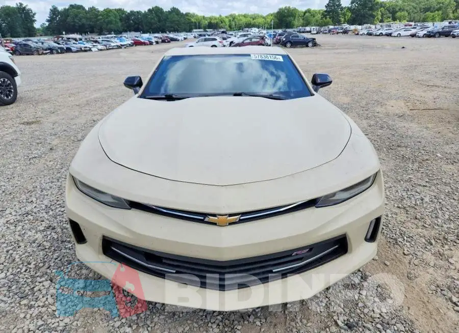 1G1FB1RX6H0172841 Photo# 5