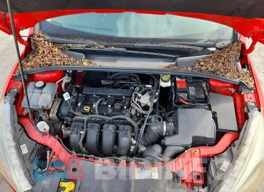 1FADP3F20HL216826 Photo# 11
