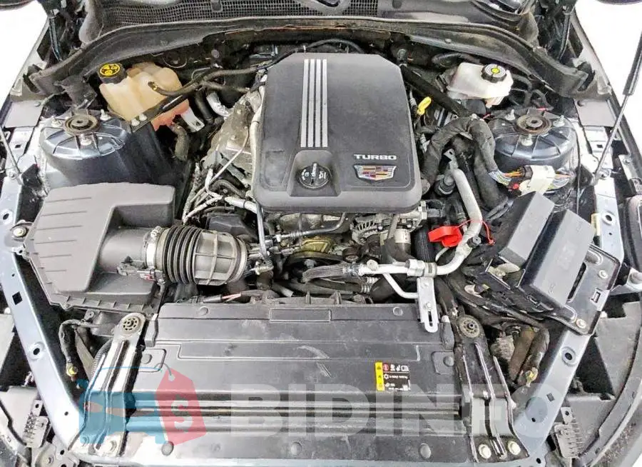 1G6DE5RK8L0149638 Photo# 11