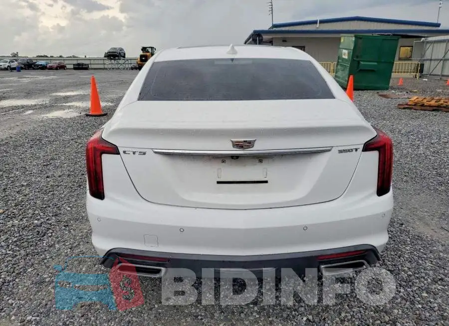 1G6DN5RK8M0124028 Photo# 6