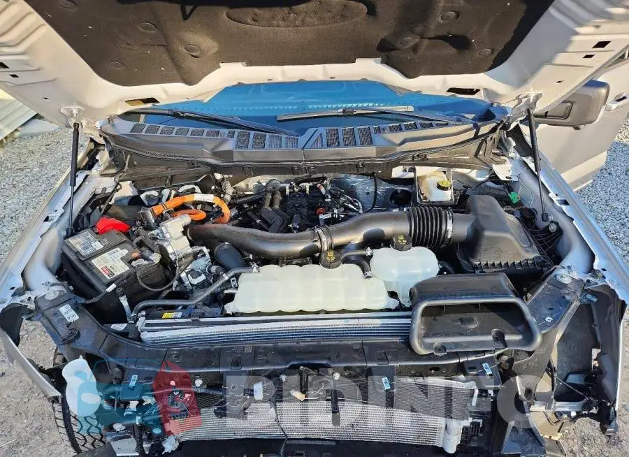 1FTFW3LD0SFC10963 Photo# 11