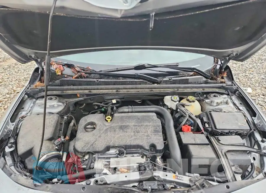 1G1ZD5ST8PF163897 Photo# 11