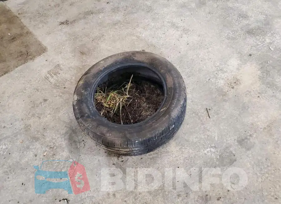 5N1BT3BB7RC710892 Photo# 13
