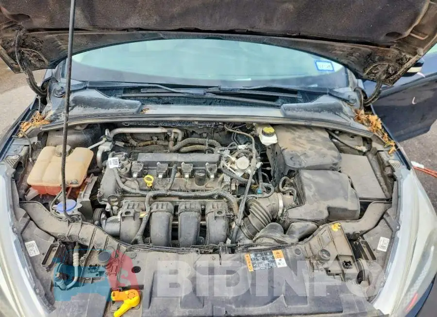 1FADP3F26HL324576 Photo# 11