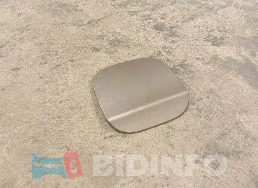 1G1ZD5ST5RF231981 Photo# 12