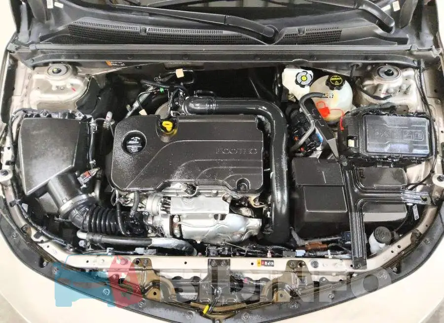 1G1ZD5ST5RF231981 Photo# 11