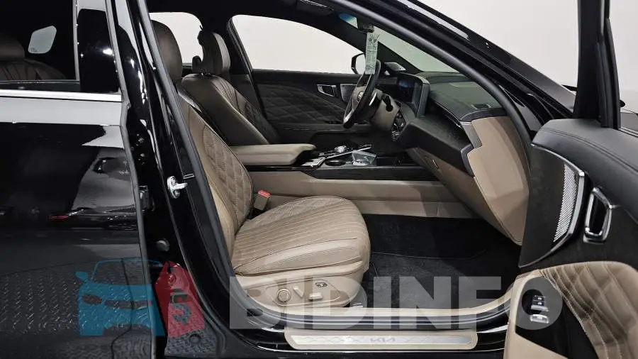 KNAM641BBRA062255 Photo# 11