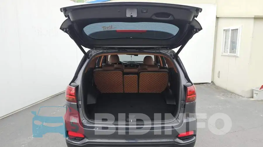 KNAPK81ABKA505607 Photo# 20