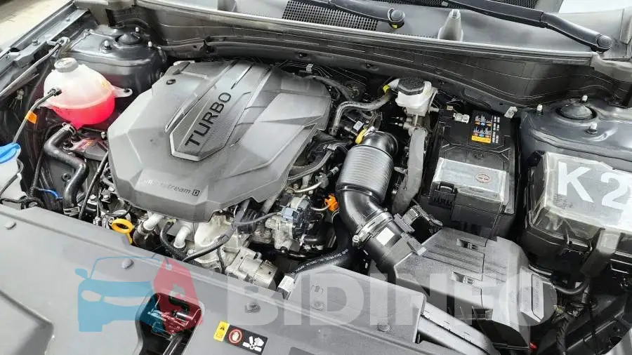 KNAPV81CDRK294342 Photo# 6