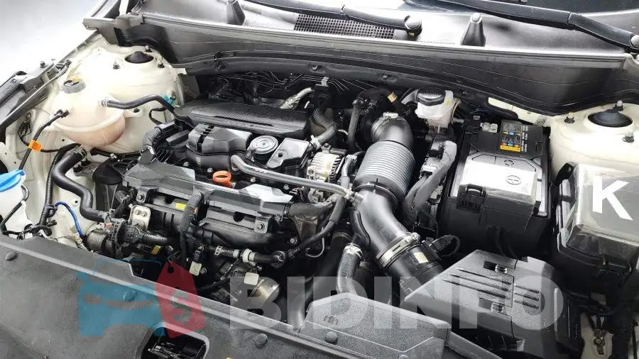 KNAPV81BGRK326062 Photo# 6