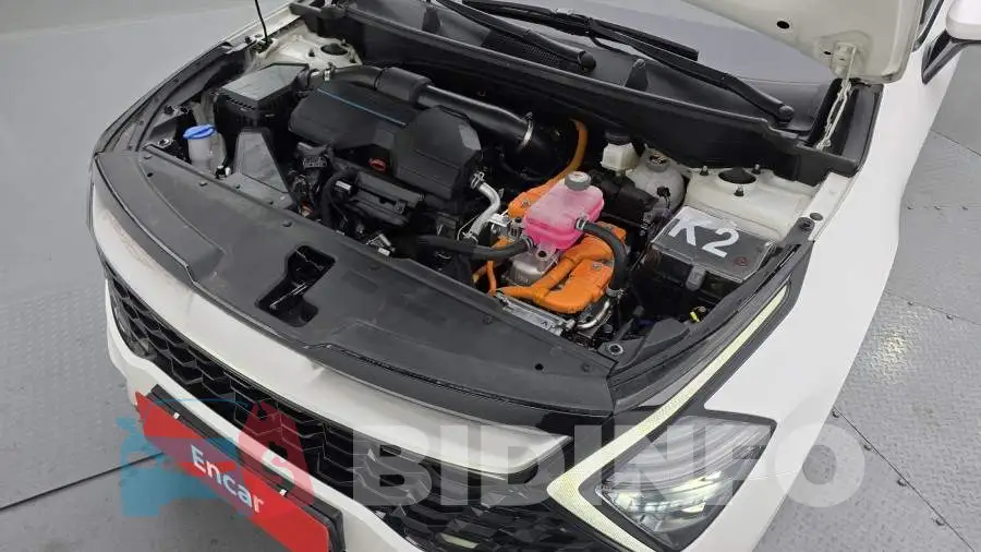 KNAPV81GBRK159821 Photo# 6