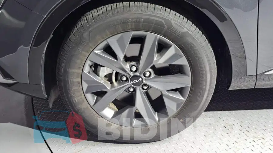 KNAPV81BHPK144311 Photo# 5