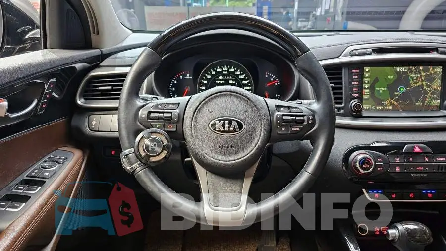 KNAPK81BBFA046308 Photo# 13