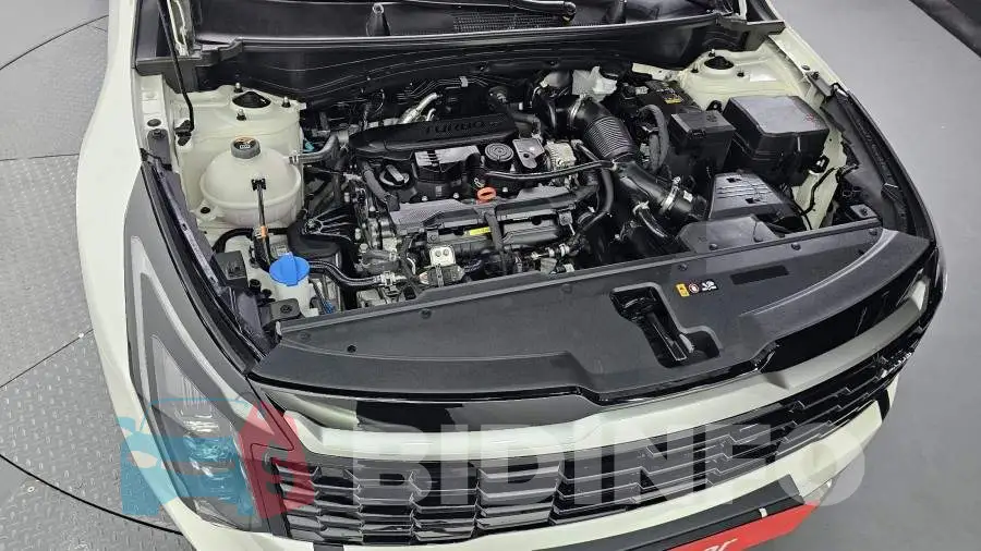 KNAPY81BDSK451241 Photo# 6