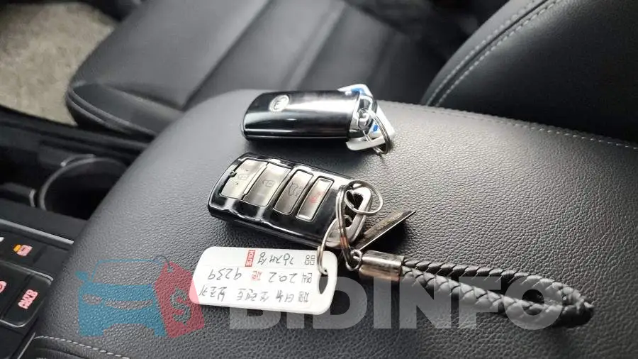 KNAPK81BBLA646890 Photo# 15