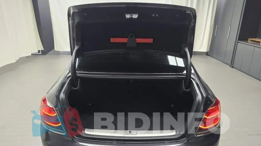 KNAS2418DLS018168 Photo# 20