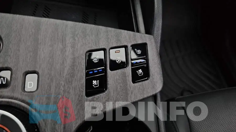 KNAPV81JBRK282588 Photo# 15