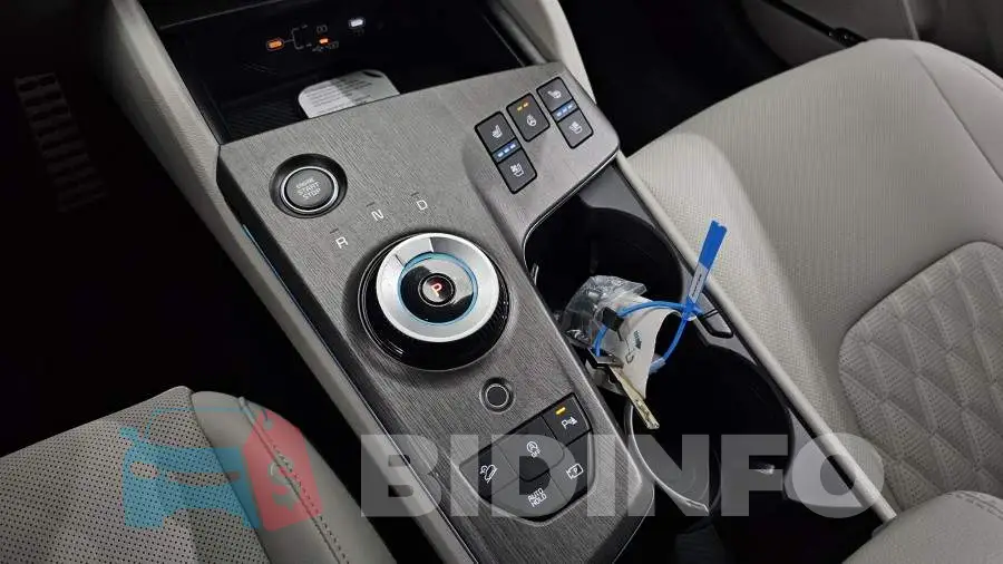 KNAPV81BBTK458769 Photo# 9