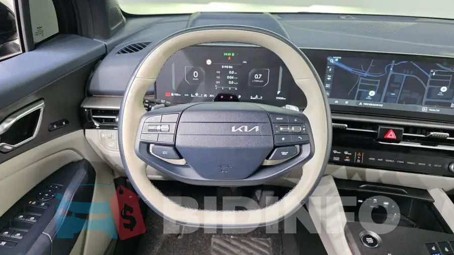 KNAPV81BDTK474337 Photo# 13