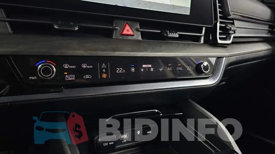KNAPV81BGRK315639 Photo# 32