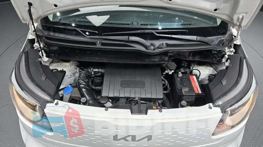KNACF911BNT293182 Photo# 6
