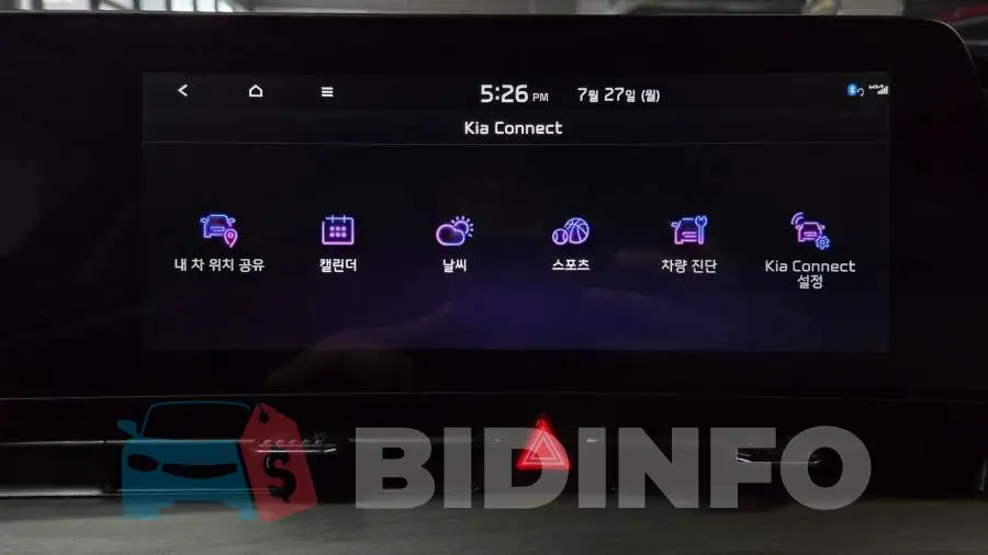 KNAPV81JBPK163468 Photo# 37