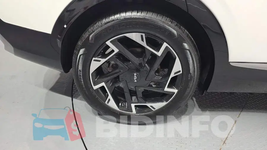 KNAPV81BGRK311171 Photo# 5