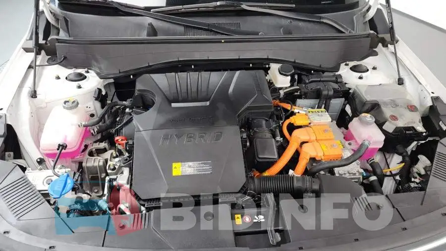 KMHHC811GPU031499 Photo# 6