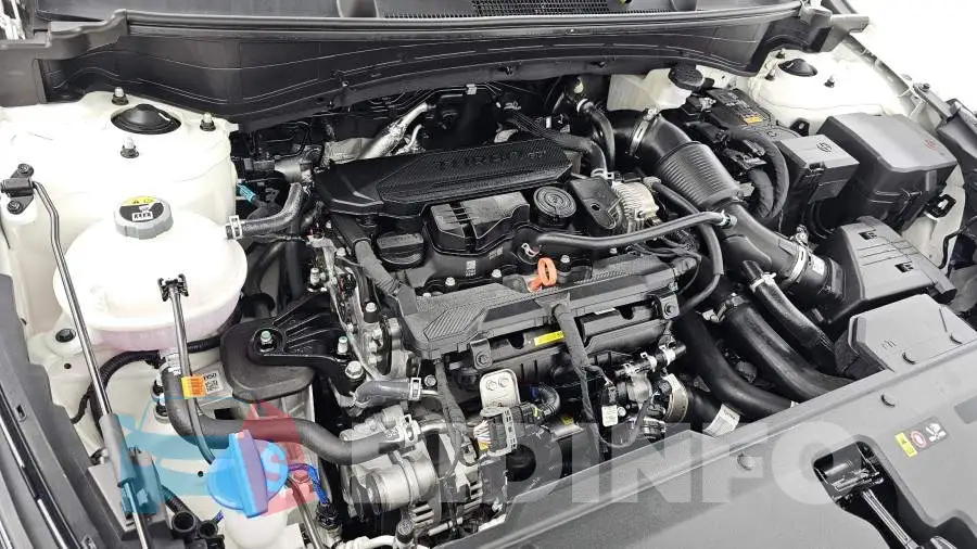 KNAPY81BDTK457244 Photo# 6