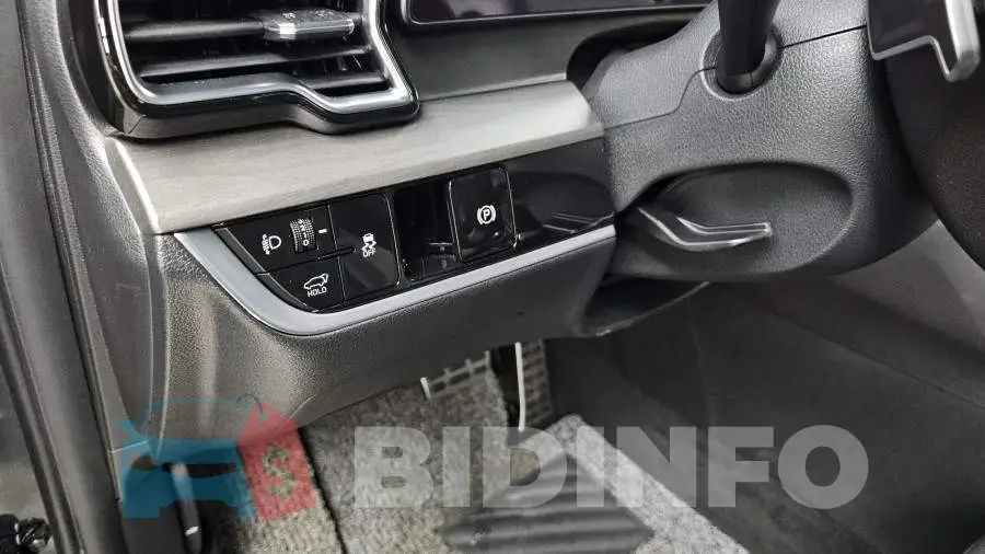 KNAPV81BGRK220723 Photo# 18