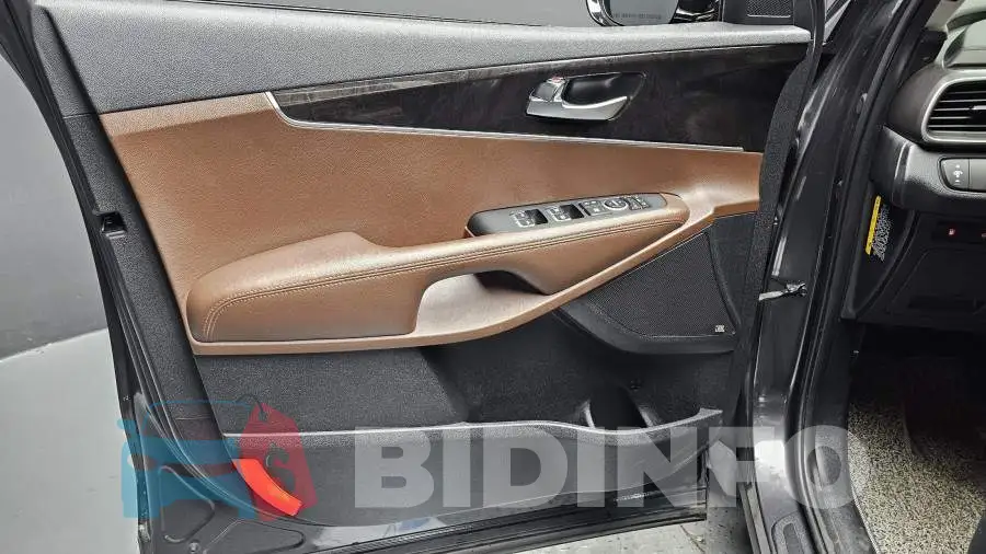KNAPH81BBGA235018 Photo# 24