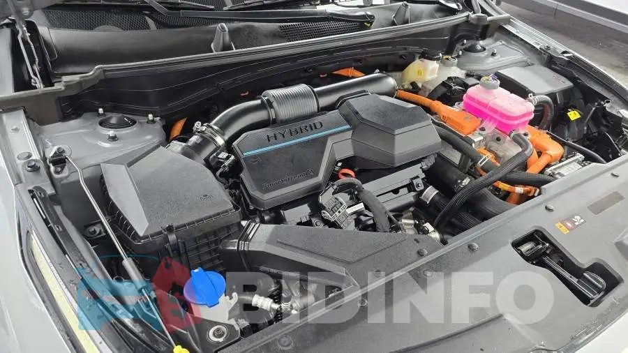 KNAPV81GDPK045233 Photo# 6