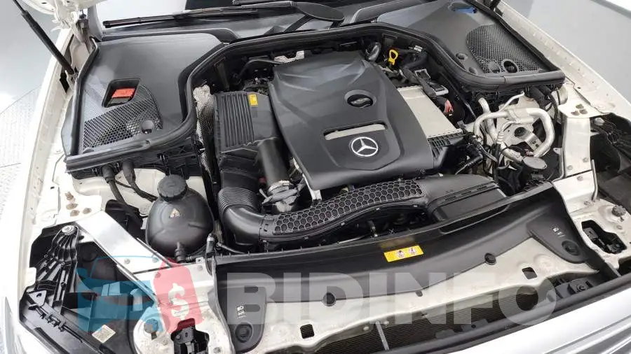 WDDZF4KBXLA743524 Photo# 6