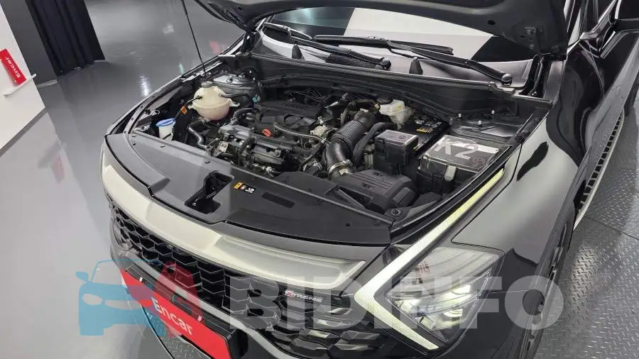 KNAPV81BGRK265351 Photo# 6