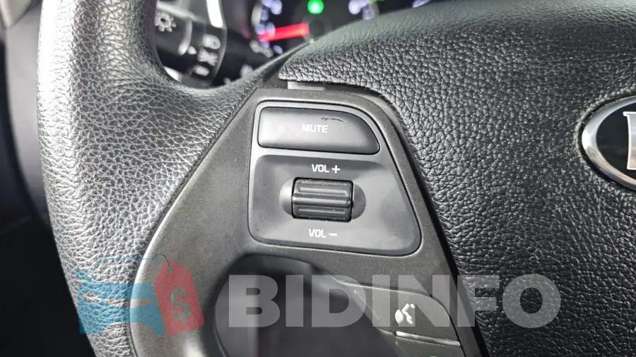 KNAFJ412BFA915749 Photo# 18
