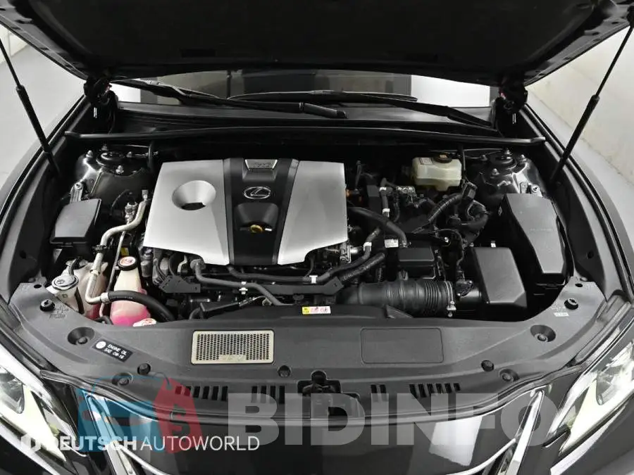 JTHB21B10K2047145 Photo# 6