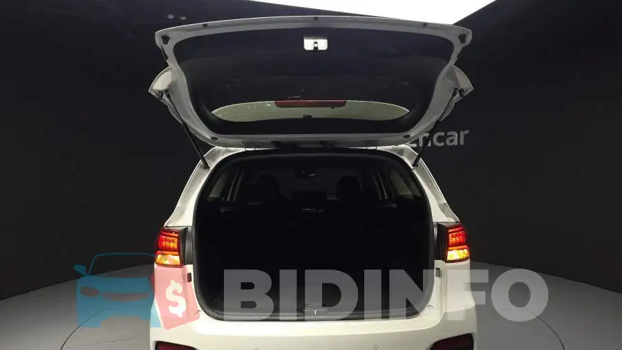 KNAPG81ABLA626422 Photo# 31