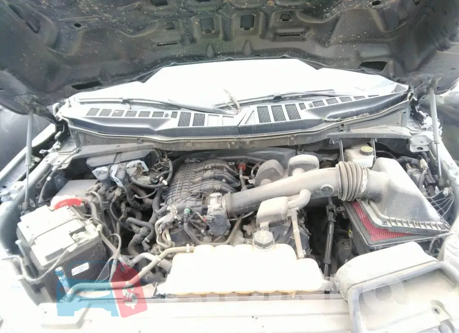 1FTMF1CB7MKD72898 Photo# 10