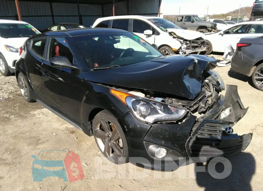 KMHTC6AE5FU239008 Photo# 1