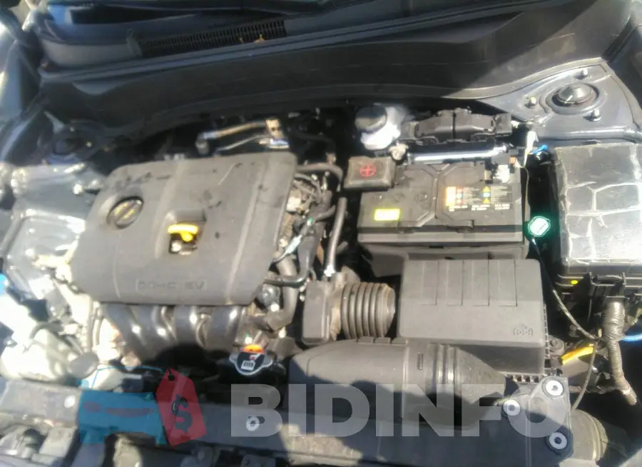 KNDEU2AA3M7224857 Photo# 10